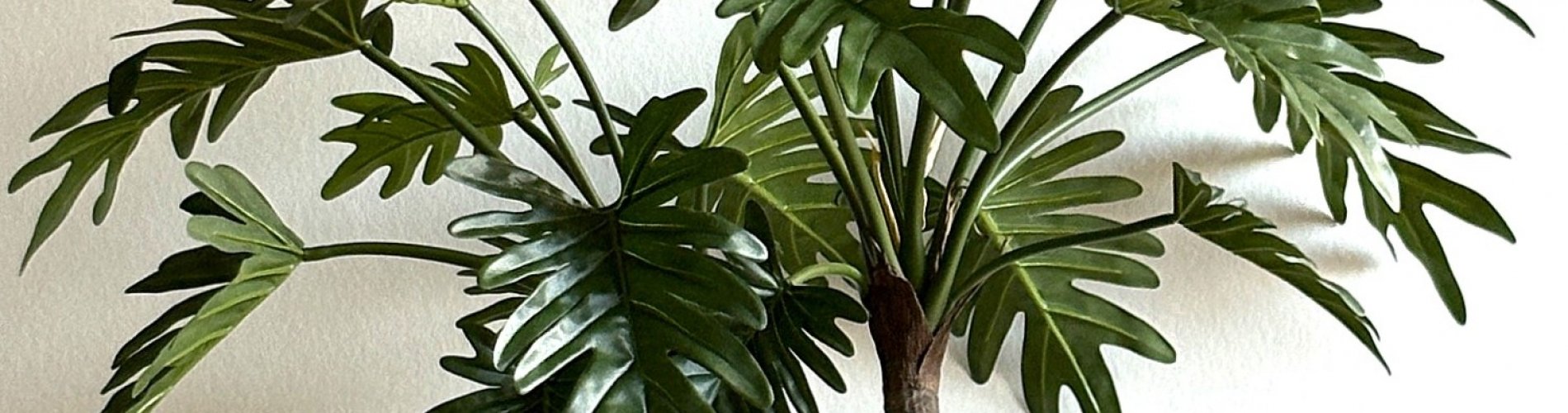 Kunstplanten